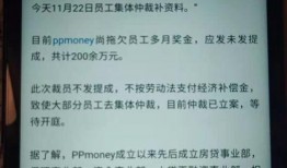 ppmoney最新爆料,揭秘金融科技巨头背后的秘密与挑战”